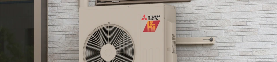 Savings & Free Offers